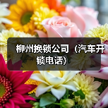 柳州换锁公司(汽车开锁电话)(图1) 柳州换锁公司(汽车开锁电话)(图1)