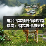 邢台汽车锁开锁配钥匙指南:锁芯选择与更换全解析(图4) 邢台汽车锁开锁配钥匙指南:锁芯选择与更换全解析(图4)