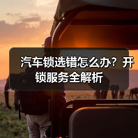 汽车锁选错怎么办?开锁服务全解析(图3) 汽车锁选错怎么办?开锁服务全解析(图3)