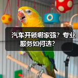汽车开锁哪家强?专业服务如何选?(图4) 汽车开锁哪家强?专业服务如何选?(图4)