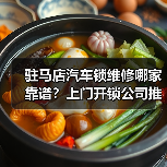 驻马店汽车锁维修哪家靠谱?上门开锁公司推荐(图1) 驻马店汽车锁维修哪家靠谱?上门开锁公司推荐(图1)
