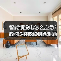 智能锁没电怎么应急？教你5招破解钥匙难题（图2）