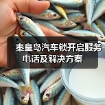秦皇岛汽车锁开启服务电话及解决方案（图3）