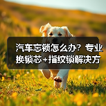 汽车忘锁怎么办？专业换锁芯+指纹锁解决方案（图2）