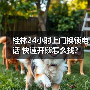 桂林24小时上门换锁电话 快速开锁怎么找?(图2) 桂林24小时上门换锁电话 快速开锁怎么找?(图2)