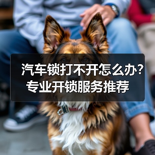 汽车锁打不开怎么办?专业开锁服务推荐(图1) 汽车锁打不开怎么办?专业开锁服务推荐(图1)