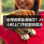 如何选择靠谱锁芯？24小时上门开锁服务解决难题（图2）