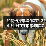 如何选择靠谱锁芯？24小时上门开锁服务解决难题（图3）