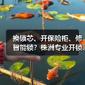 换锁芯、开保险柜、修智能锁?株洲专业开锁服务一站式解决(图2) 换锁芯、开保险柜、修智能锁?株洲专业开锁服务一站式解决(图2)