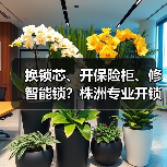 换锁芯、开保险柜、修智能锁?株洲专业开锁服务一站式解决(图1) 换锁芯、开保险柜、修智能锁?株洲专业开锁服务一站式解决(图1)