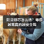 防盗锁芯怎么选?等级越高真的越安全吗(图2) 防盗锁芯怎么选?等级越高真的越安全吗(图2)