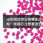 咸阳指纹锁安装哪家正规?换锁芯注意事项全解析(图3) 咸阳指纹锁安装哪家正规?换锁芯注意事项全解析(图3)