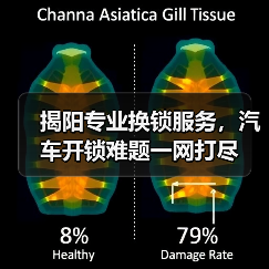 揭阳专业换锁服务，汽车开锁难题一网打尽（图4）