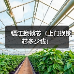 镇江换锁芯(上门换锁芯多少钱)(图4) 镇江换锁芯(上门换锁芯多少钱)(图4)
