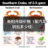 衡阳开锁价格（配汽车钥匙多少钱）