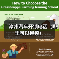 漳州汽车开锁电话（哪里可以换锁）（图2）