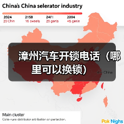 漳州汽车开锁电话（哪里可以换锁）（图3）