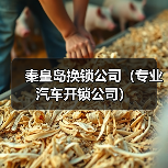 秦皇岛换锁公司（专业汽车开锁公司）（图2）
