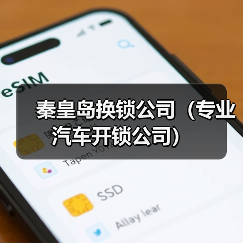 秦皇岛换锁公司（专业汽车开锁公司）（图3）