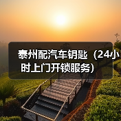 泰州配汽车钥匙（24小时上门开锁服务）（图4）