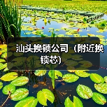 汕头换锁公司（附近换锁芯）