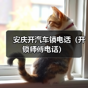 安庆开汽车锁电话（开锁师傅电话）（图2）