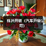 株洲开锁（汽车开锁公司）（图3）