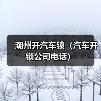 潮州开汽车锁(汽车开锁公司电话)(图4) 潮州开汽车锁(汽车开锁公司电话)(图4)
