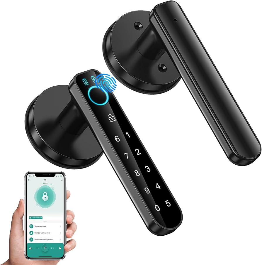 2025年智能锁行业迎来爆发式增长 生物识别技术引领安全革命(图1)