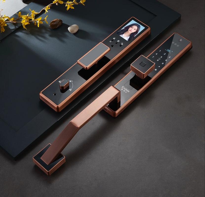 如何选择智能锁?解析5大关键因素,2024年最新指南(图1) 如何选择智能锁?解析5大关键因素,2024年最新指南(图1)